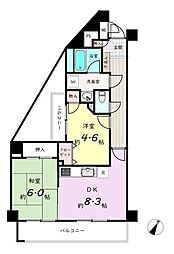 ヒルステージ日吉 2DKの間取図画像