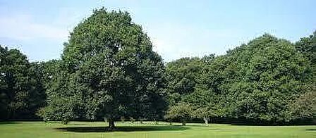 市立東高根森林公園 1110m