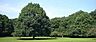 周辺：市立東高根森林公園 1110m