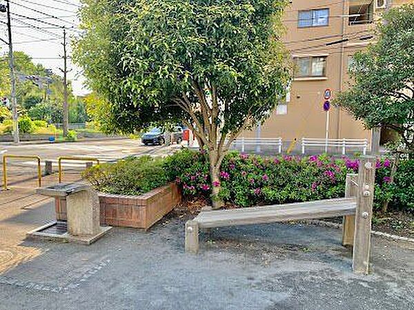 周辺を拡大表示