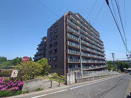 南向き角部屋で、日当たり良好です◎