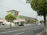 ディオ福山南店（スーパー）まで716ｍ