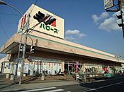 ハローズ手城店（スーパー）まで536ｍ