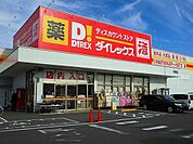 ダイレックス明神店まで1000m