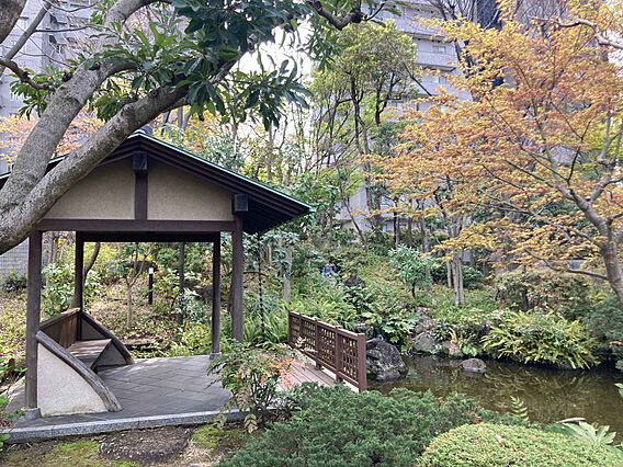 物件の状況、周...