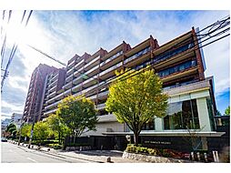 平成築、総戸数293戸のマンション。最寄り駅「雑司が谷」駅まで徒歩3分ほど。