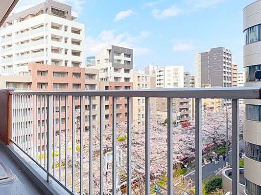 バルコニー キャニオンマンション東山 6階/-