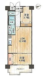 朝日プラザ中津 2LDKの間取図画像