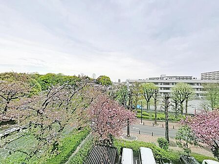 光が丘公園に隣接する贅沢な立地。四季の移ろいを身近に感じながら暮らせる環境です