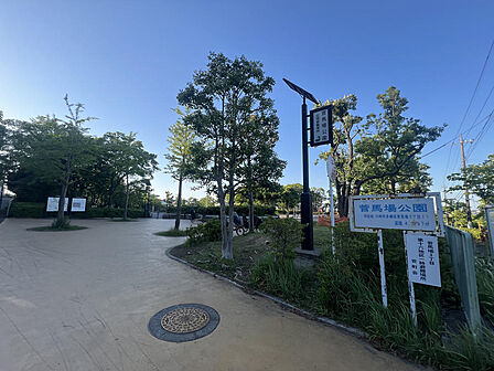 空広がる開放的な公園!毎日の遊び場に最適です。