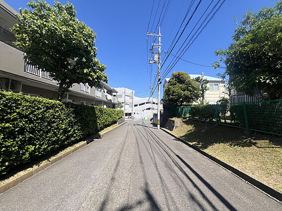 青空に映える緑...