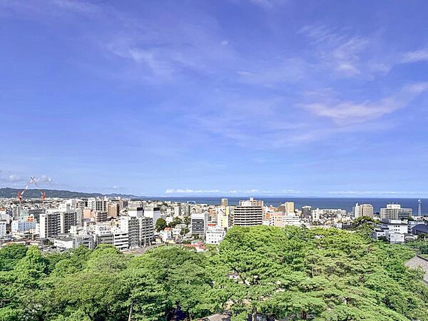 周辺を拡大表示