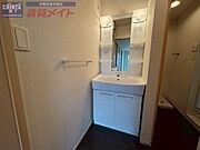 同型反転参考写真