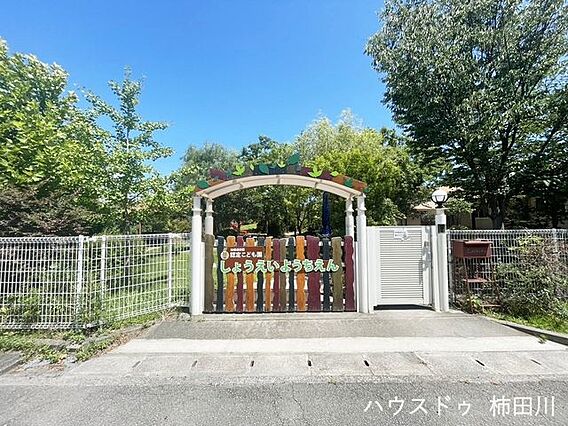 しょうえい認定...