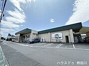 スーパーカドイケ  本店 1000m