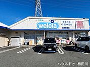 ウエルシア  三島徳倉店 710m
