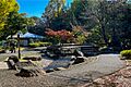 蚕糸の森公園の...