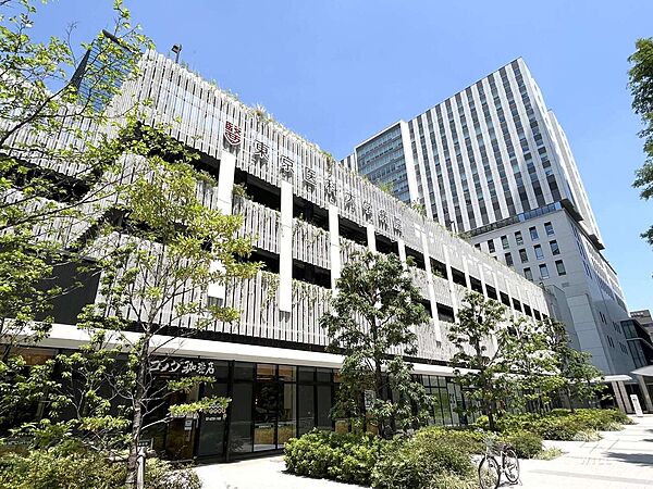 周辺を拡大表示