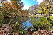 和田堀公園の外観
