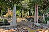周辺：馬橋公園の外観