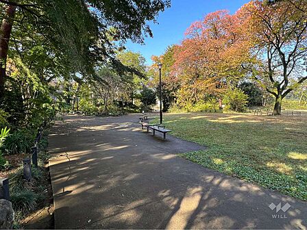 柏の宮公園の外観