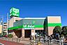 周辺：サミットストア(中野南台店)の外観