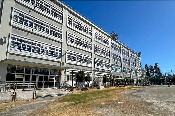 周辺を拡大表示