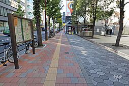 敷地西側の前面道路。二車線のバス通りです。