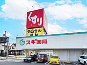 スギドラッグ　文教台店（449m）