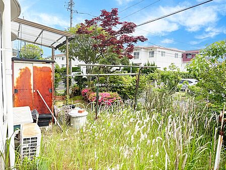 南庭あり