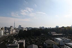 展望