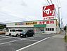 周辺：スギ薬局 毛受店 1100m