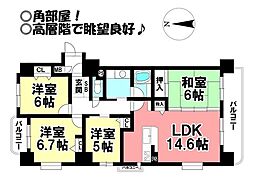 モアグレース大志