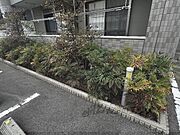 植栽