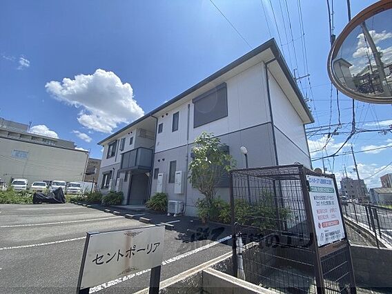 セントポーリアB_トップ画像