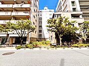 前面道路を含む現地写真