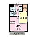 ドルチェ新町6階6.4万円