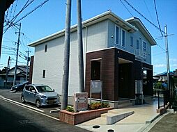 サツキ　アザレア