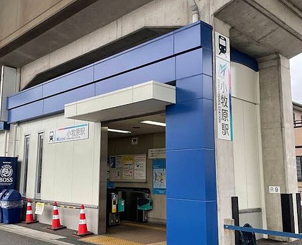 周辺を拡大表示