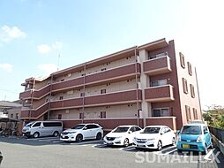 Ｓｐｒｉｎｇ長嶺南