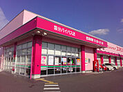 ドラッグストアコスモス 国分バイパス店（433m）