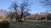 近隣には砧公園、休日のリフレッシュに♪