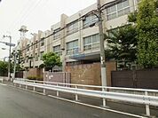 大阪市立三津屋小学校 611m