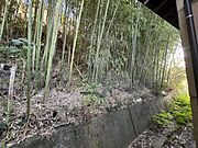 建物東側は土手と竹林です。竹の敷地への浸食はありません。