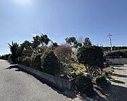土地全体の写真です。