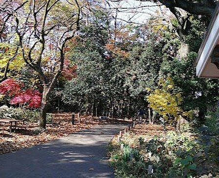 目白の森 徒歩3分。 170m