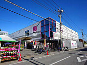 ドラッグストア 「ディスカウントドラッグ コスモス 城東店まで320m」