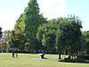 公園「明保野公園まで1705m」