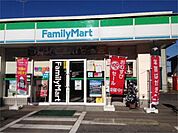 コンビニ「ファミリーマート 高根沢宝石台店まで305m」