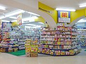ドラッグストア 「マツモトキヨシミライト一条店まで392m」